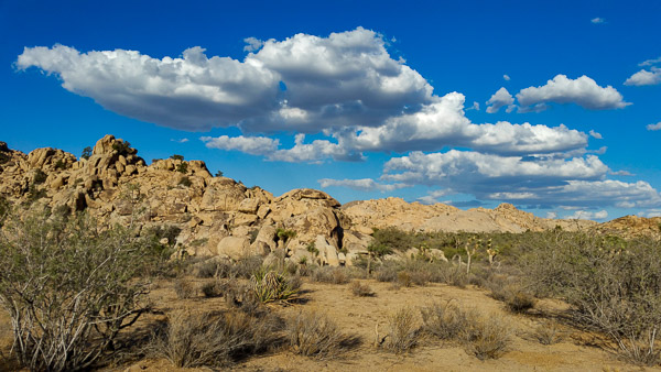 Joshua Tree National Park, California